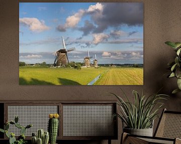 Three windmills in the countryside in the Netherlands by iPics Photography