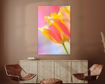 Tulpen in de lente met een kleurrijke achtergrond