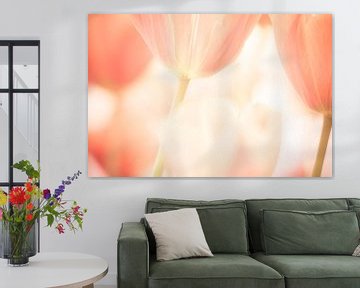 Een artistieke foto van tulpen bloemen met zachte pastel kleuren