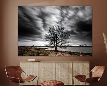 Stormachtig weer aan de rivieroever (Pannerden, Arnhem) van Eddy Westdijk