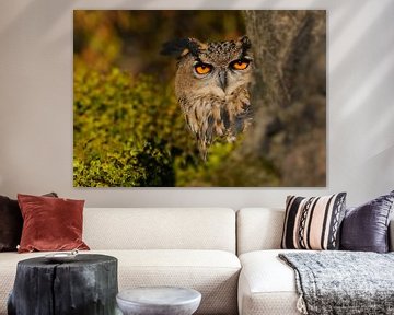 Eagle owl II by Harry Eggens