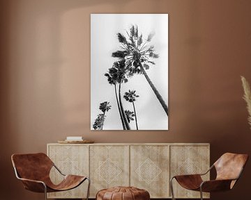 Palm Trees Summertime by Melanie Viola