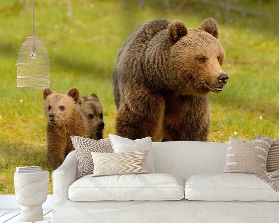 Aperçu de la chambre