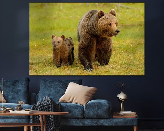 Aperçu de la chambre