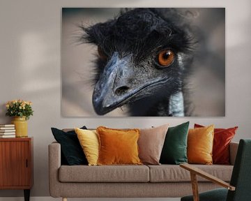 Emu up close by Maurits Kuiper