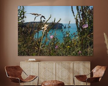 View with field flowers, with one of the cliffs of Normandy by Paul van Putten