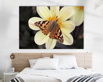 Blume, Dahlie mit Schmetterling