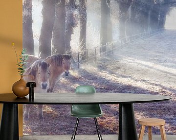 Horses in winter in the meadow in the fog by Bas Meelker