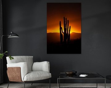 Zonsondergang in de Sonora Dessert in Arizona, USA, met een Giant Saguaro cactus.