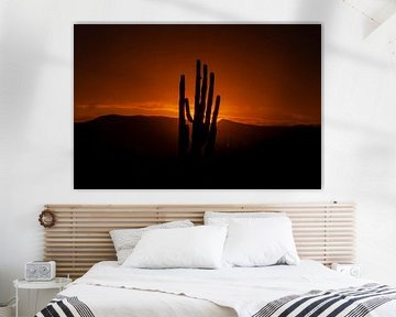 Zonsondergang in de Sonora Dessert in Arizona, USA, met een Giant Saguaro cactus.