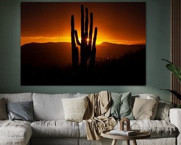 Zonsondergang in de Sonora Dessert in Arizona, USA, met een Giant Saguaro cactus. van Gert Hilbink