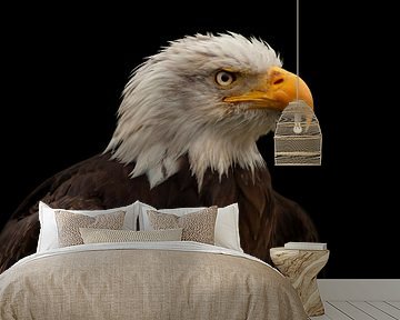 Bald Eagle, roofvogel in Noord Amerika van Gert Hilbink