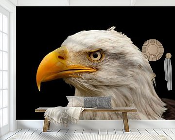 Bald Eagle, roofvogel in Noord Amerika van Gert Hilbink