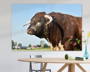 English Longhorn - Barlings Nebula von Michiel van der Velden