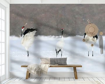 Japanse Kraanvogels VII van Harry Eggens