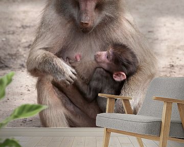 Mantelbaviaan : DierenPark Amersfoort van Loek Lobel