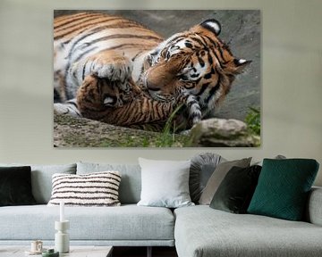 Siberian Tiger : Animal Park Amersfoort by Loek Lobel
