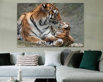 Siberische Tijger : DierenPark Amersfoort van Loek Lobel