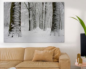 Sneeuwlandschap