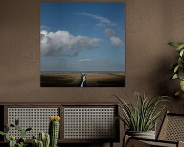 Salt marsh in northern Groningen (square version) by Bo Scheeringa Photography