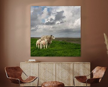 Schafe auf dem Waddendijk - quadratische Version von Bo Scheeringa Photography