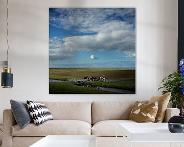 Cows in the salt marshes (square version)