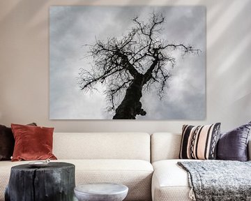 silhouet van een boom van Fred Leeflang