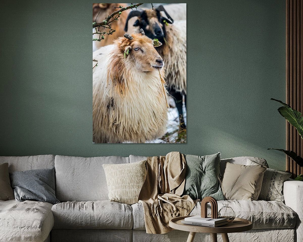 Raumvorschau