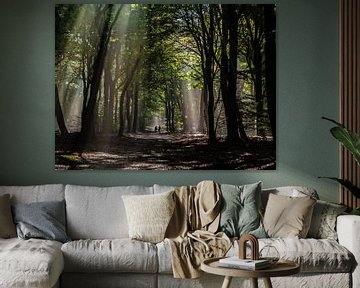 Promenade en forêt