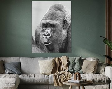 Gorilla : Tierpark Blijdorp von Loek Lobel