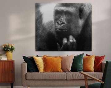 Gorilla : Tierpark Blijdorp von Loek Lobel