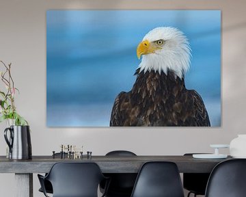 Amerikaanse Zeearend Portret van Harry Eggens