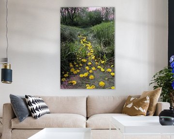 "Prairie de Hauer" - installation nature-art de Matthias Würfel sur Matthias Würfel