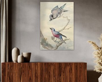 Zwei Vögel: ein blauer Eichelhäher und eine violette Brustkotinga, Aert Schouman