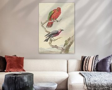 Twee vogels, waaronder een rood-groene papegaai, Aert Schouman