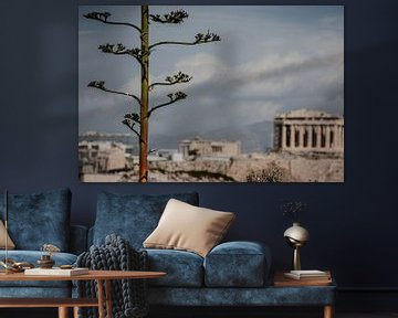 Athens by Eric van Nieuwland