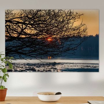 22-02-2018, PESSE, Sunrise in national park Dwingelderveld by Francois Wieringa