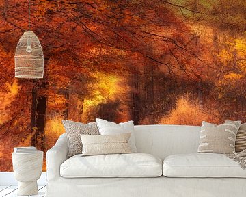 Golden autumn light falls on a forest path in Drenthe by Bas Meelker