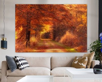 Goldenes Herbstlicht fällt auf einen Waldweg in Drenthe von Bas Meelker