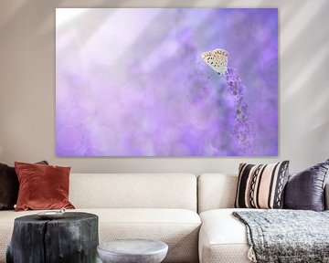 Sprakelend lavendel veld met vlinder van Elles Rijsdijk