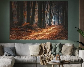 Promenade dans les bois en automne sur Fotografiecor .nl
