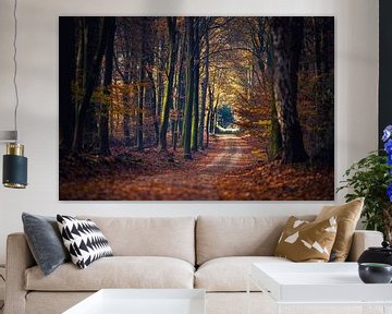 Chemin de randonnée entre les arbres d'automne aux couleurs attrayantes sur Fotografiecor .nl
