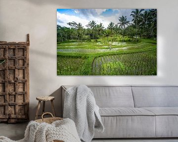 Boer aan het werk op groen rijstveld in Bali Indonesië