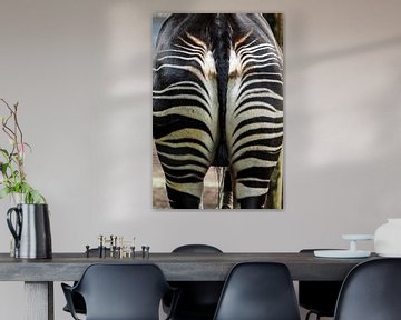 Zebra : Blijdorp Zoo by Loek Lobel