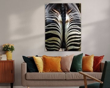 Zebra : Blijdorp Zoo by Loek Lobel