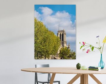 Blick auf die Kathedrale Notre-Dame in Paris, Frankreich