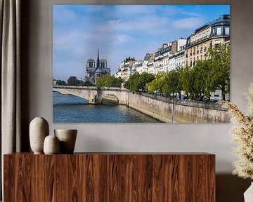 Blick über die Seine in Paris, Frankreich von Rico Ködder