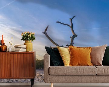 Loonse und Drunense Dünen