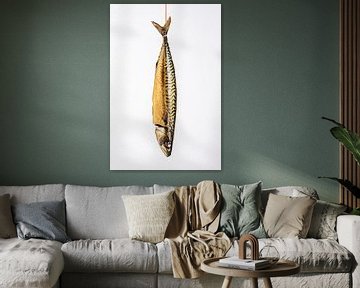 Mackerel on the wall by MICHEL WETTSTEIN