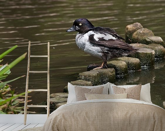 Aperçu de la chambre